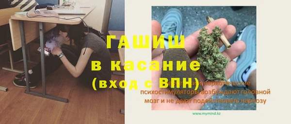 прущие грибы Алзамай