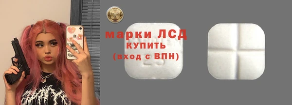 прущие грибы Алзамай