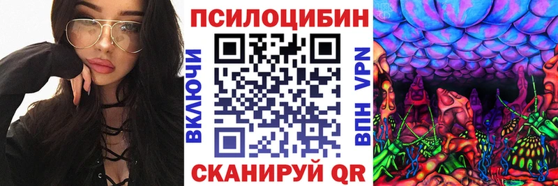 где можно купить   Льгов  blacksprut зеркало  Галлюциногенные грибы мицелий 